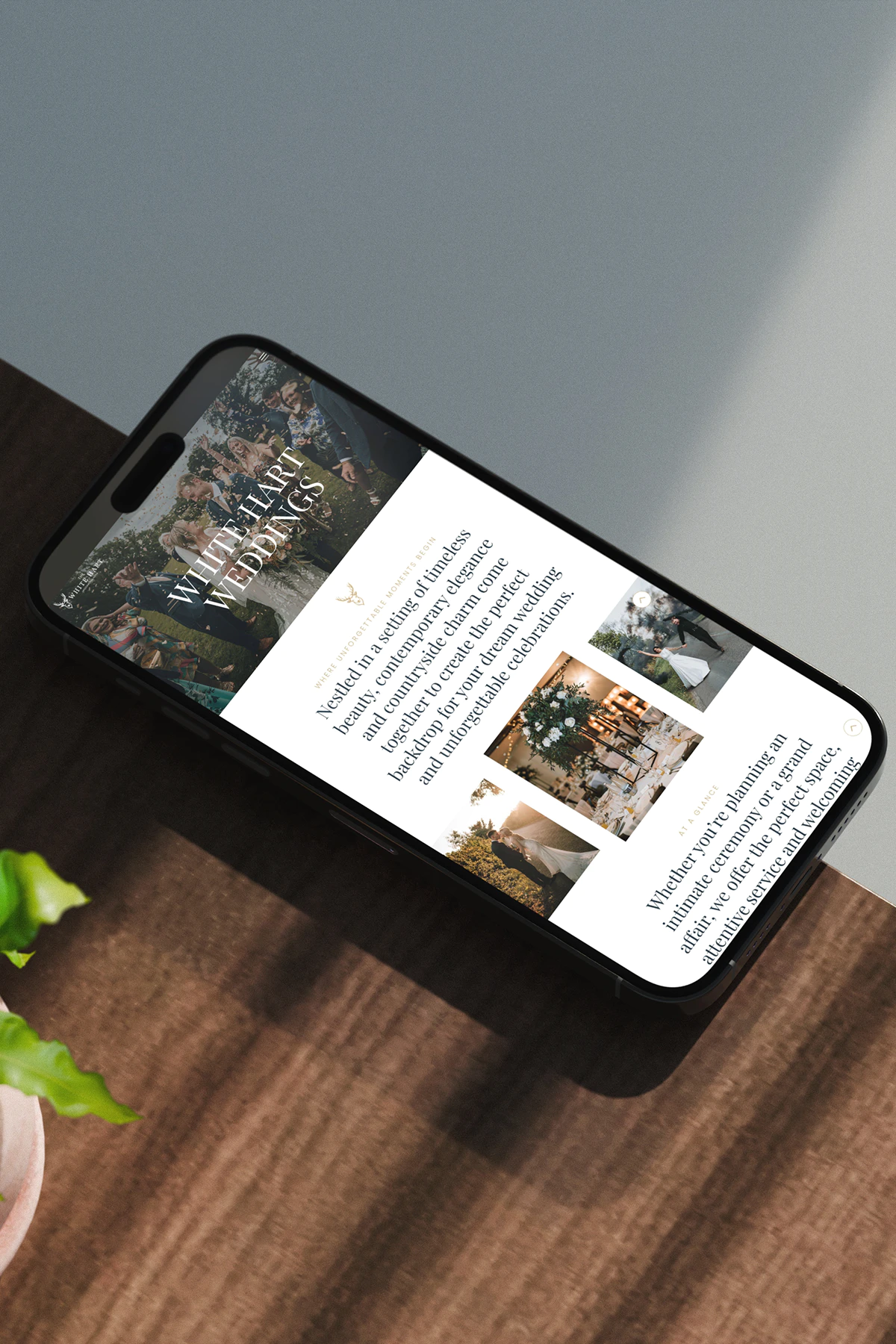 alfreton Web agency design project